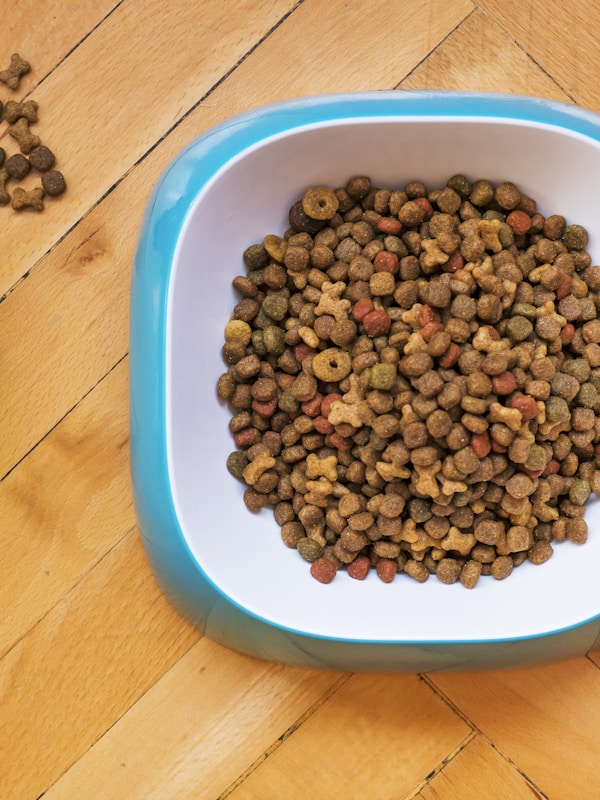Dog Food