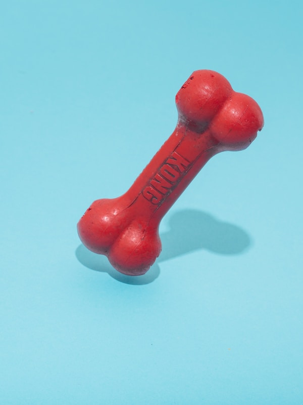 Pet Toys