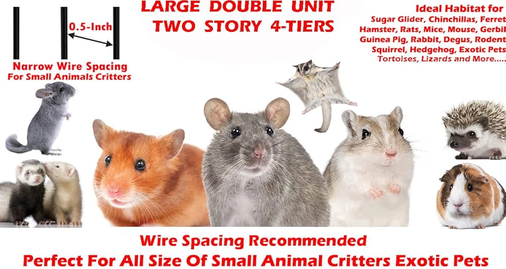 Best 7 Differences Between Gerbils and Hamsters You Need to Know in 2025