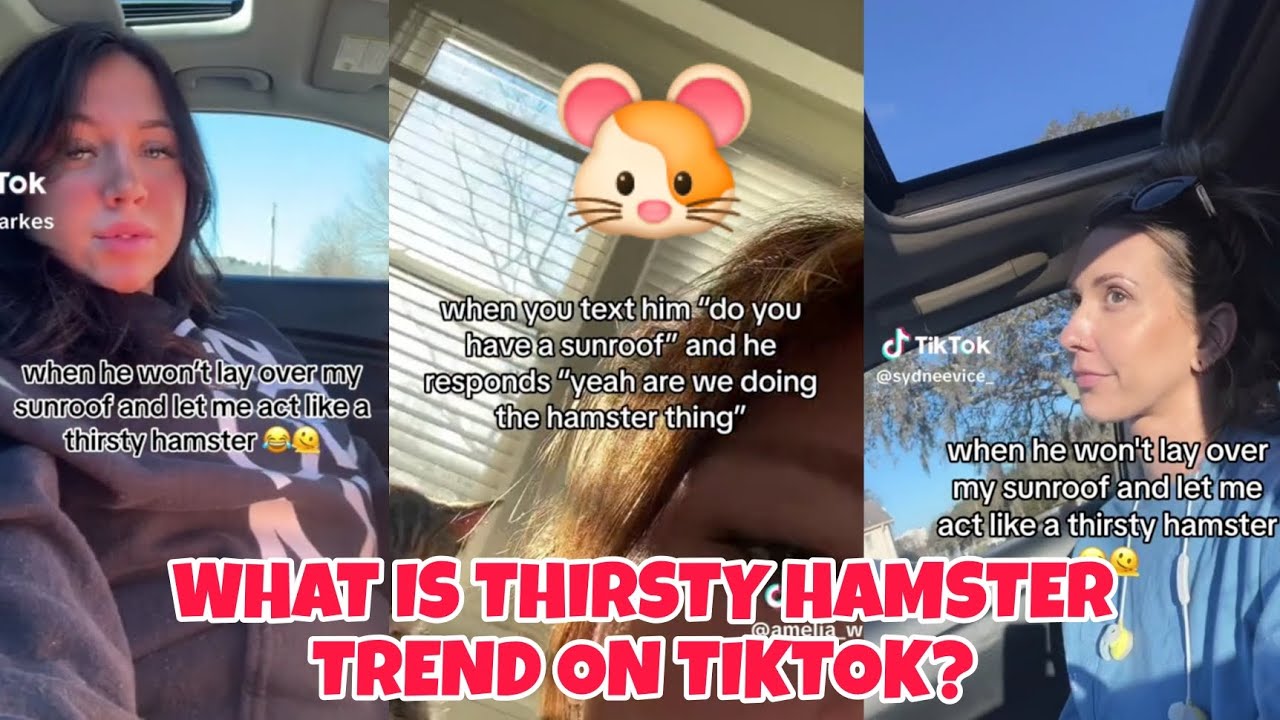 Top 5 Ways to Keep Your Thirsty Hamster Hydrated in 2025: Essential Tips