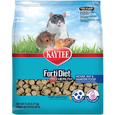 Best 10 Hamster Food Choices for Healthy Diets in 2025: Discover Top Options!