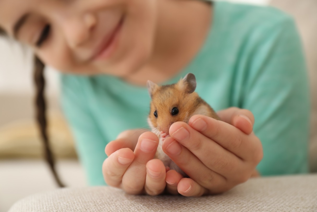 Hamster Care and Health