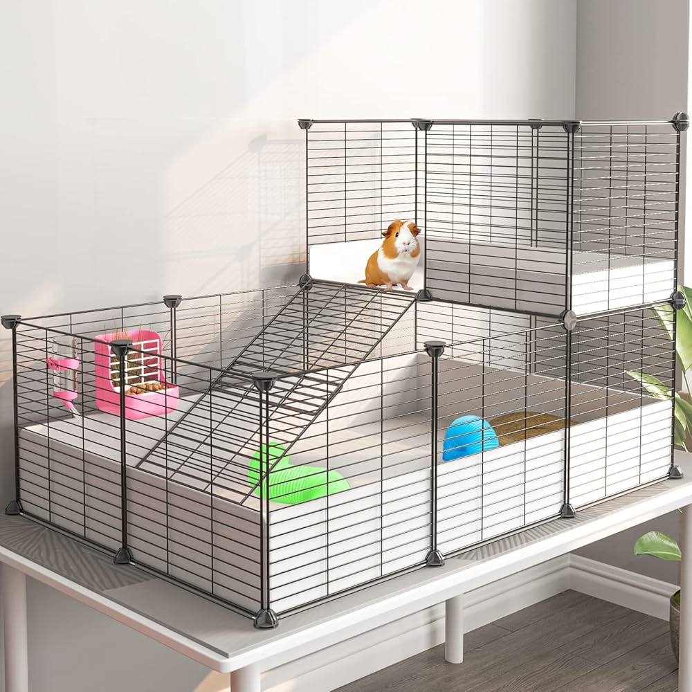 Practical Ways to Choose the Best Guinea Pig Cages for Your Pet in 2025