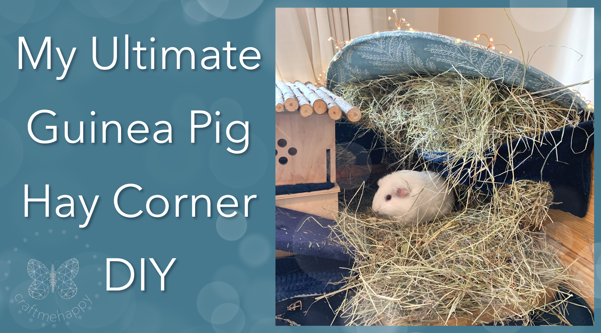 Smart Guide to Choosing the Best Guinea Pig Hay for Optimal Health in 2025