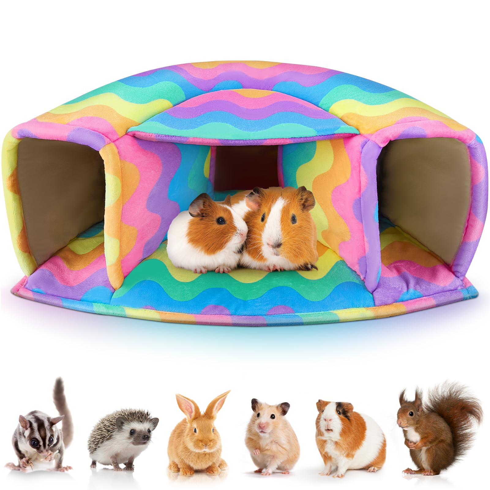 Guinea Pig House