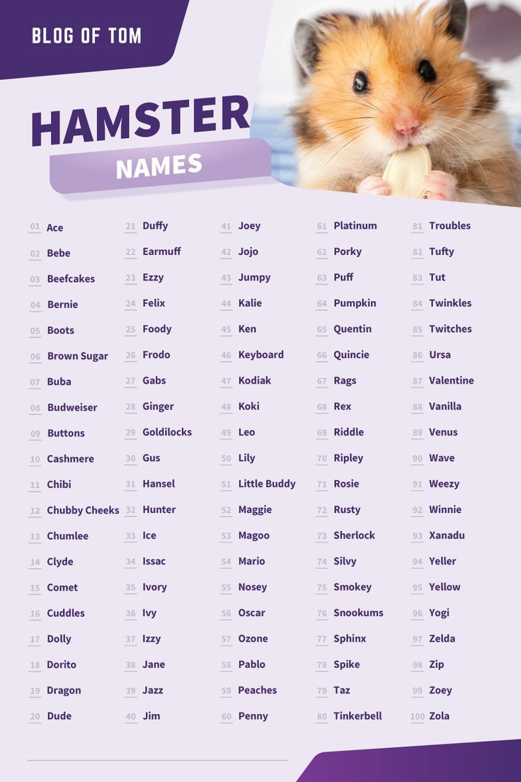 Discover 10 Cute Girl Hamster Names for Your Furry Friend in 2025