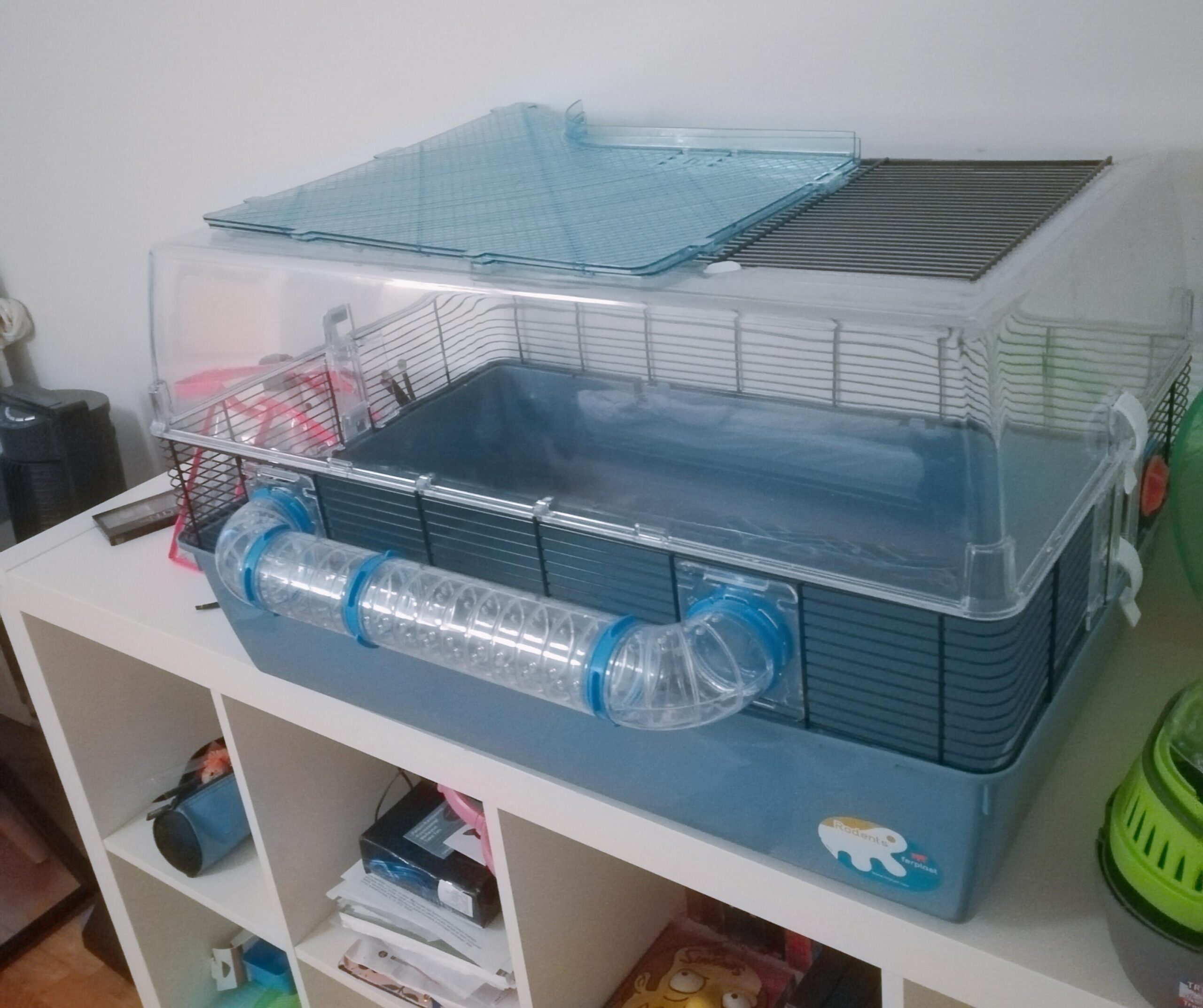 Practical Guide to Setting Up the Perfect Dwarf Hamster Cage for 2025