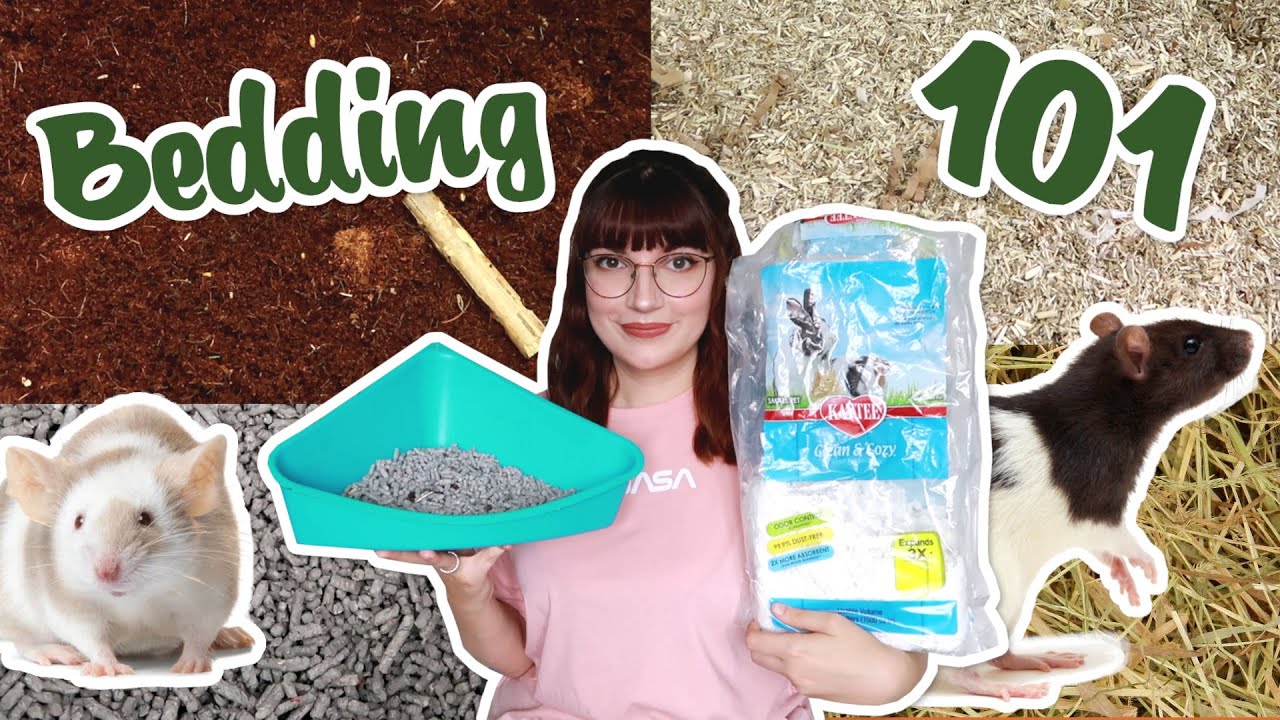 Effective Ways to Choose Bedding for Rats: Essential Tips for 2025